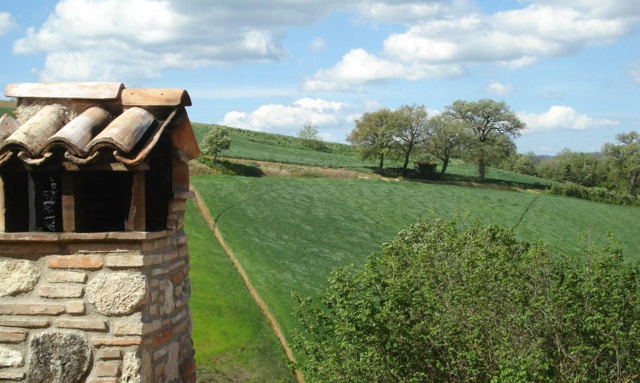 Agriturismo Bio Tra Cielo E Terra Daire Grutti Dış mekan fotoğraf