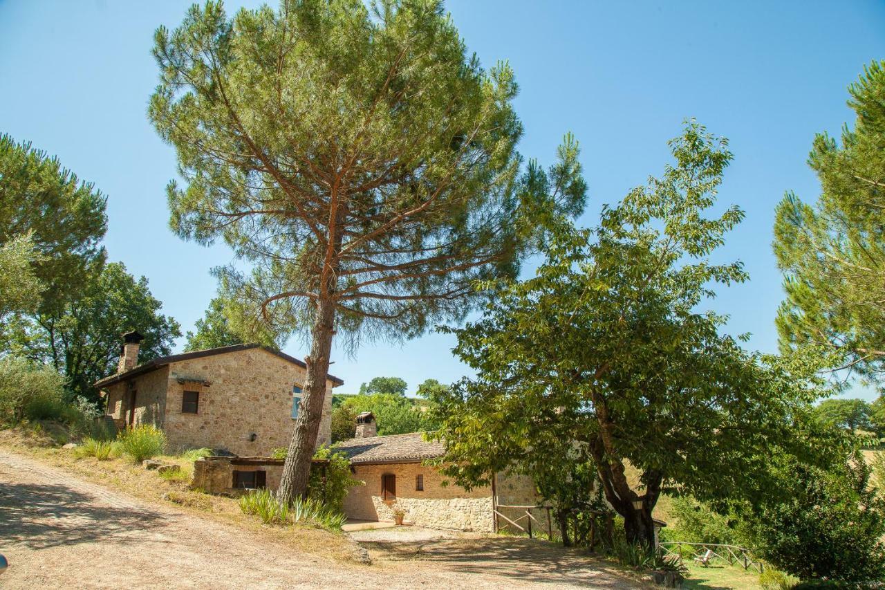 Agriturismo Bio Tra Cielo E Terra Daire Grutti Dış mekan fotoğraf