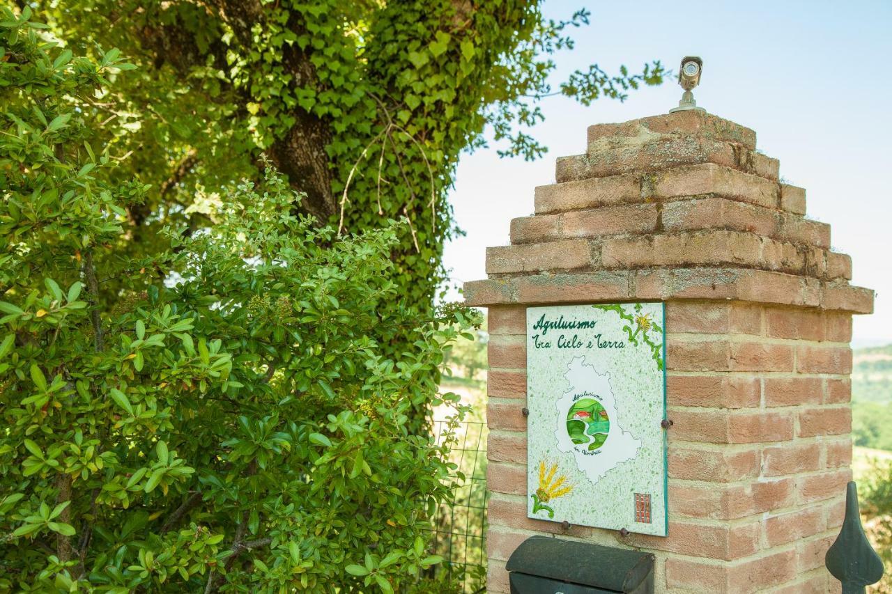 Agriturismo Bio Tra Cielo E Terra Daire Grutti Dış mekan fotoğraf